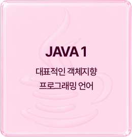 JAVA 1